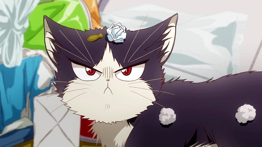 Teman Sekamar Saya adalah Kucing dan Latar Belakang, Anime Chibi Cat Wallpaper HD