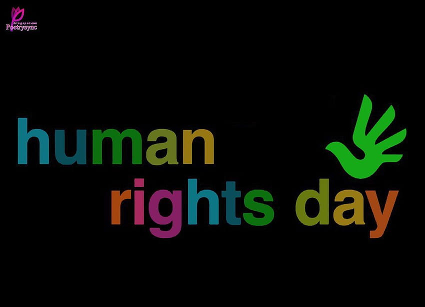 Hari Hak Asasi Manusia, Kemanusiaan Wallpaper HD