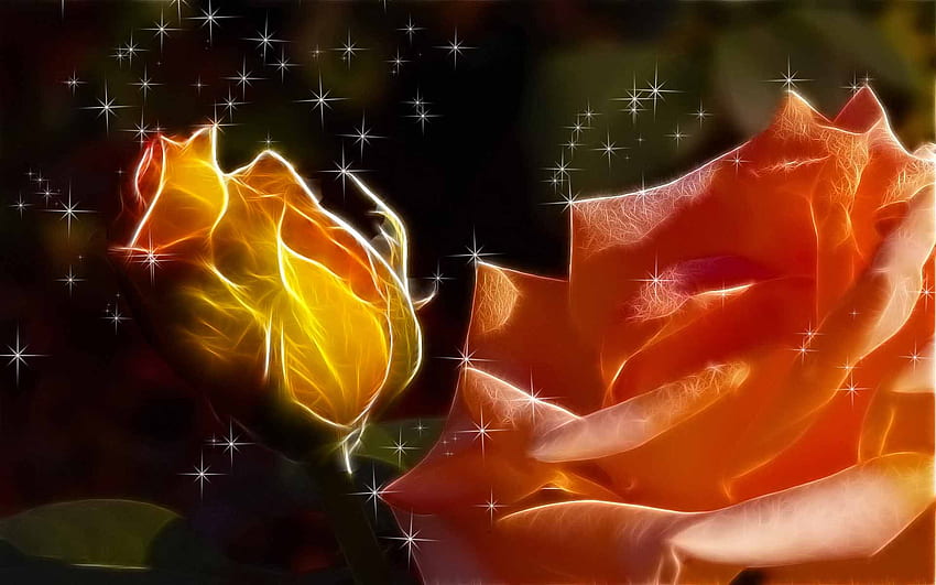 My Love One, loving, roses, sparkling, beauty, abstract, fractalius, nature, flowers, romantic HD wallpaper