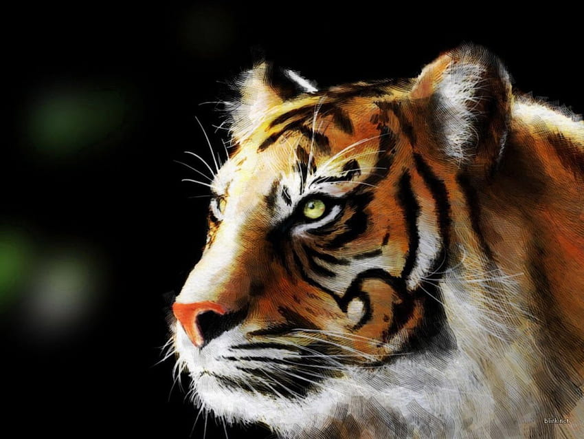 Tiger fractal, tiger, animals HD wallpaper