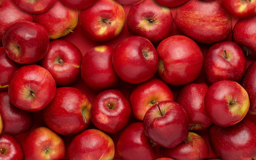Hãy chiêm ngưỡng hình ảnh táo ngọt mọng, mùi thơm tỏa ra đến nơi này khắp. Bạn sẽ cảm nhận được sức sống của thiên nhiên đã ấn vào quả táo, đem lại cho chúng ta những lợi ích tuyệt vời cho sức khỏe.