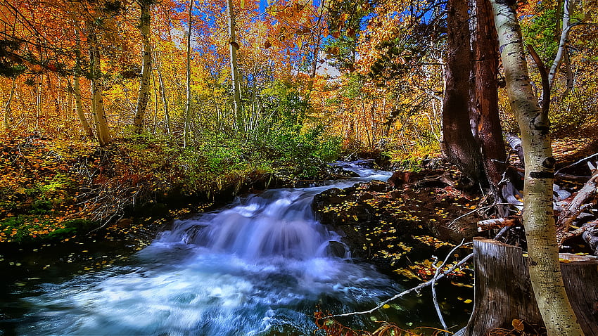 Urocza Kaskada, kolorowa, płynąca, liście, ładna, jesienna, piękna Tapeta HD