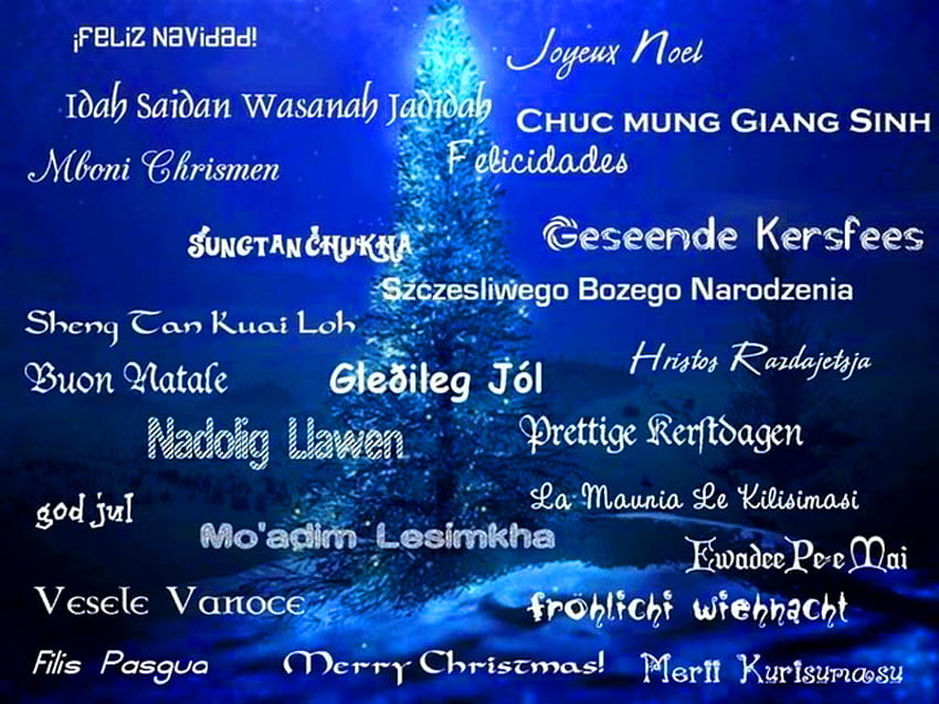 Dotykając wszystkich, wiele języków, wesołych świąt, świąt Bożego Narodzenia, niebieskie tło, pozdrowienia, drzewo Tapeta HD