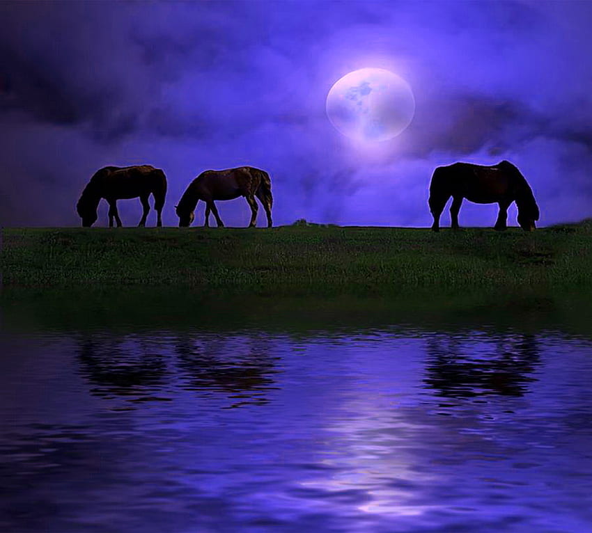 Pasmo księżyca, noc, niebieski, konie, odbicie, światło księżyca, woda, wypas Tapeta HD