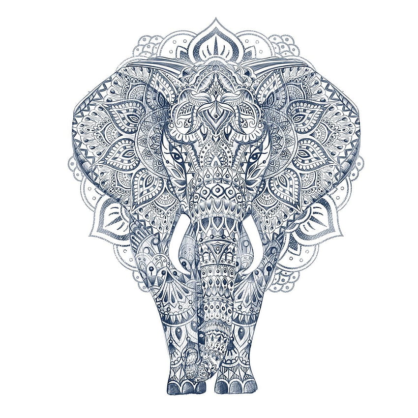 illustration pen hand drawing elephant aztec pattern detail art HD phone wallpaper