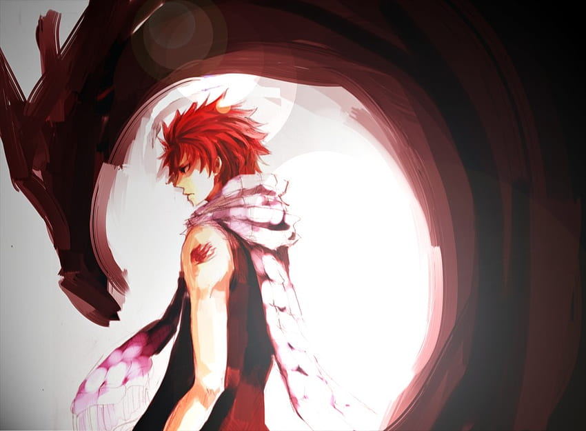 Wallpaper game anime tattoo dragon brand transformation asian manga  scarf japanese Fairy Tail Natsu Dragneel oriental asiatic muscular  wing images for desktop section сёнэн  download