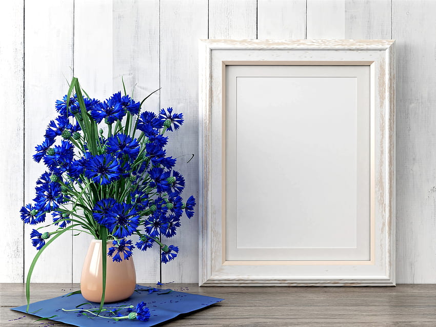Cornflowers, blue, white, bouquet, flower, frame, vase, cornflower HD wallpaper