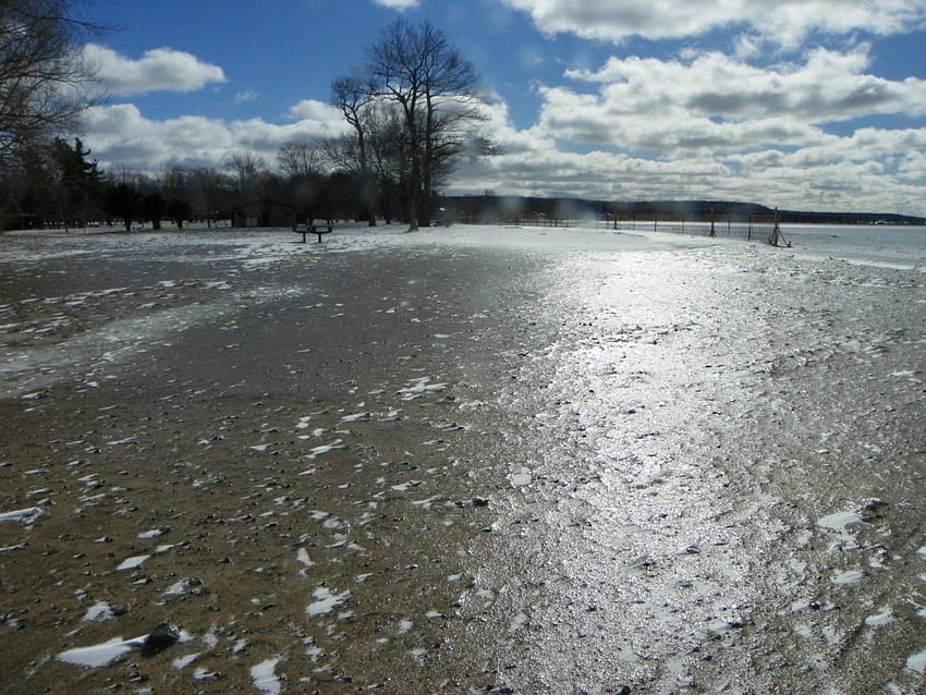 얼어붙은 모래, 겨울, wescotts 해변, 나무, 온타리오 호수, 얼음 HD 월페이퍼