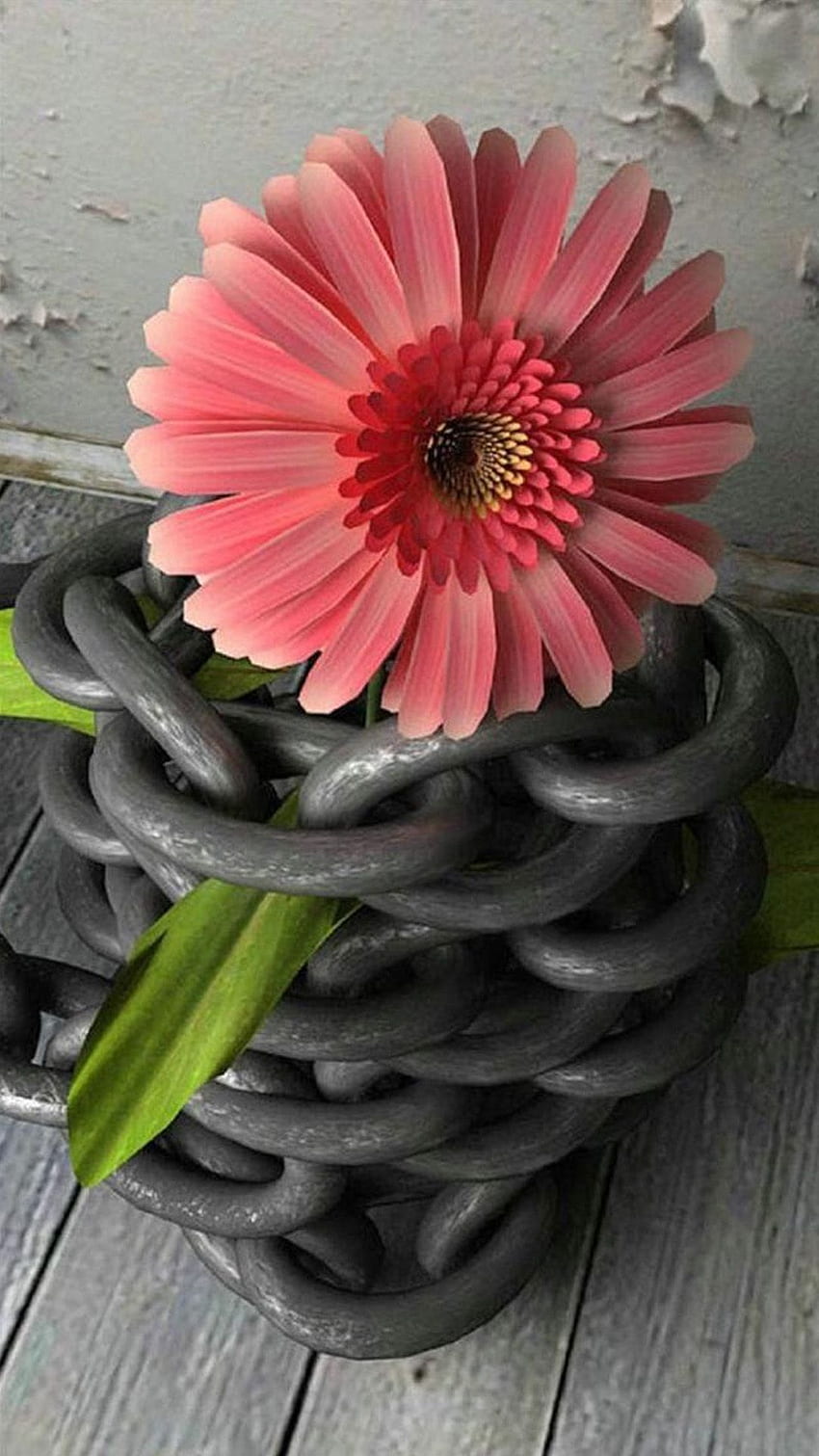 Flower Surrounded Iron Chain HD phone wallpaper