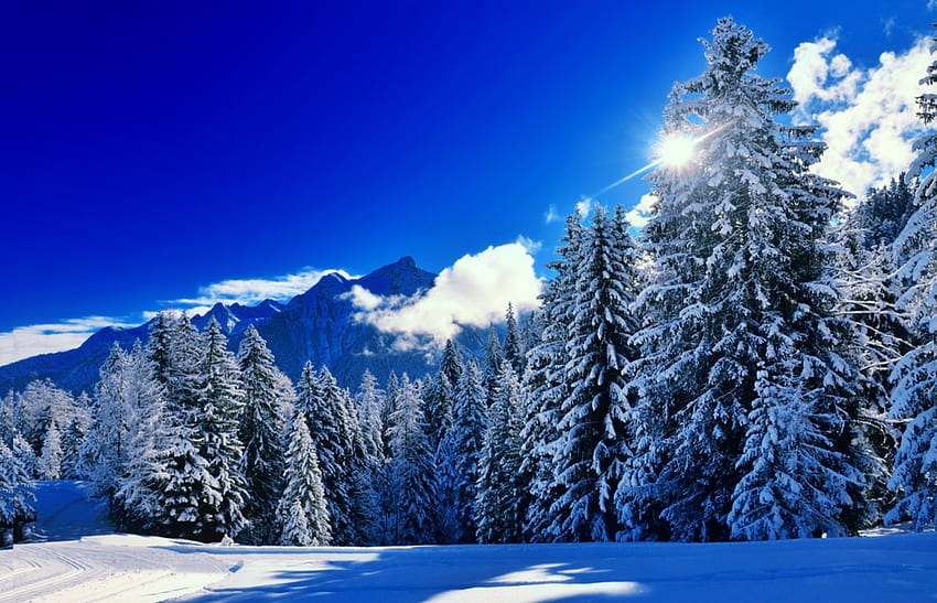 Paisagem de inverno, azul, inverno, colinas, paisagem, linda, montanha, neve, árvores, céu, sol, floresta papel de parede HD