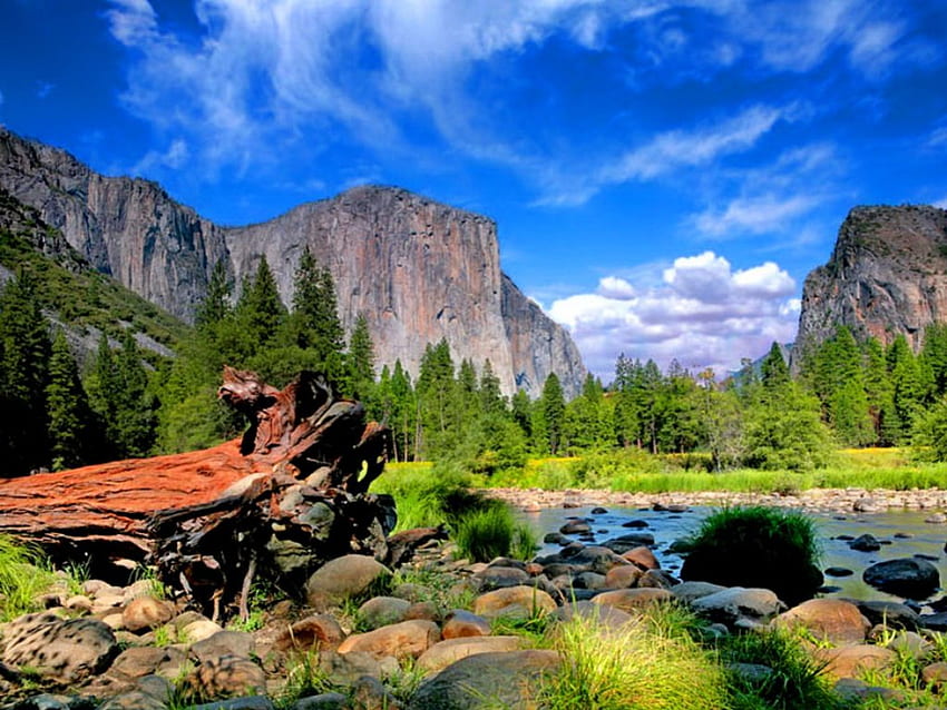 山の風景、川、小川、峰、素敵、海岸、風景、木々、美しい、草、岩、石、山、夏、崖、自然、空、美しい、ストリーム 高画質の壁紙
