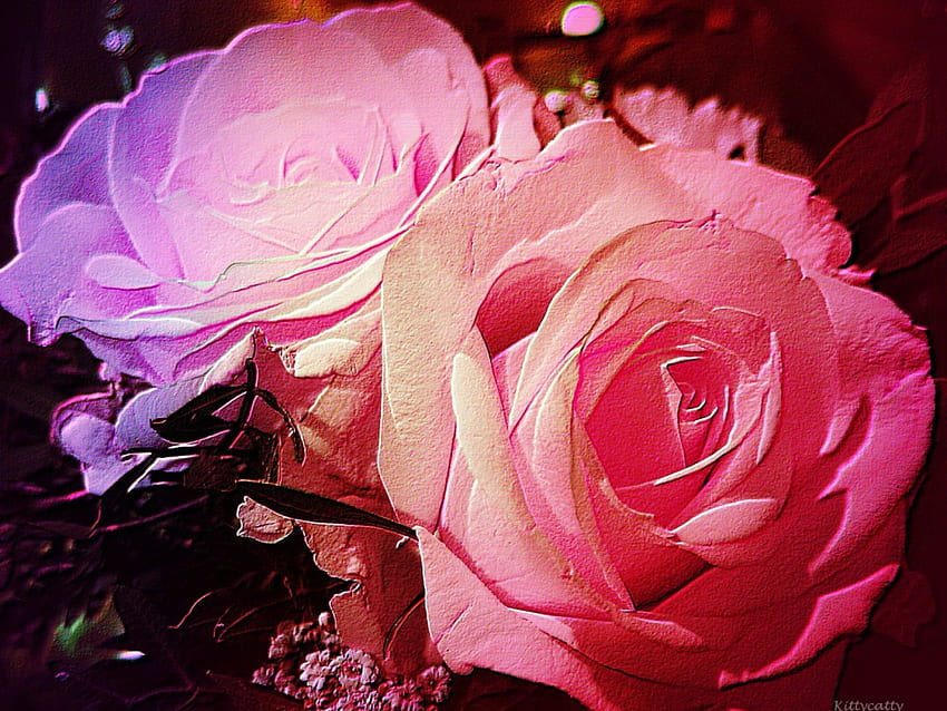 ...••. Embossed Roses .••..., roses, rose, pink, embossed, rainbow, love, nature, flowers, friendship HD wallpaper