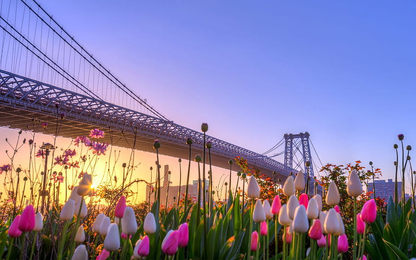 NYC Spring, Spring Bridge HD wallpaper