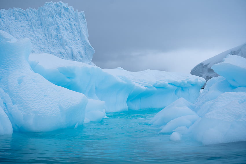 Nature, Water, Ice, Snow, Glacier, Antarctica, Antarctic HD wallpaper