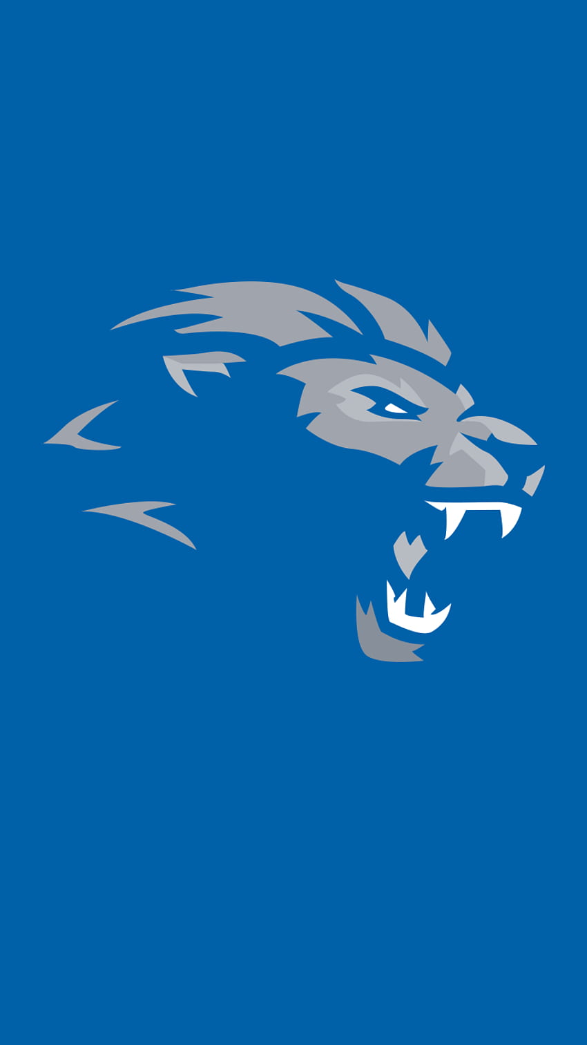 now in Honolulu blue (iphone 6 size) : detroitlions HD phone wallpaper