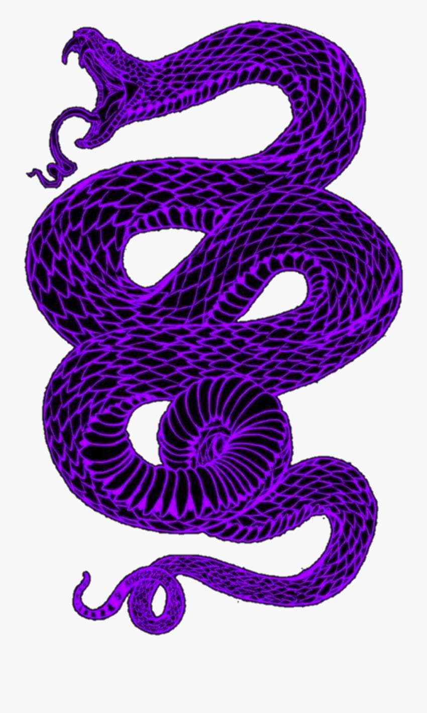 Page 2  Purple Snake Images  Free Download on Freepik