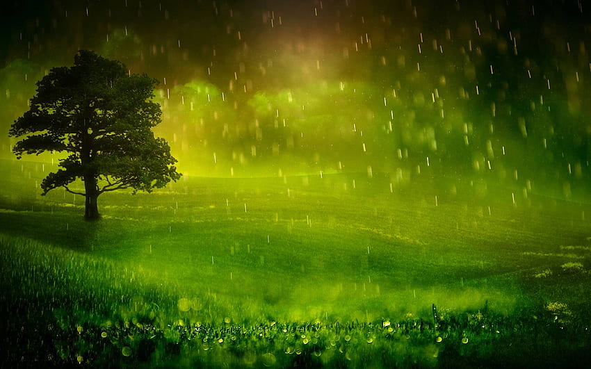 Rain Background. Steampunk Train , Dinosaur Train and Purple Rain, Relaxing Rain HD wallpaper