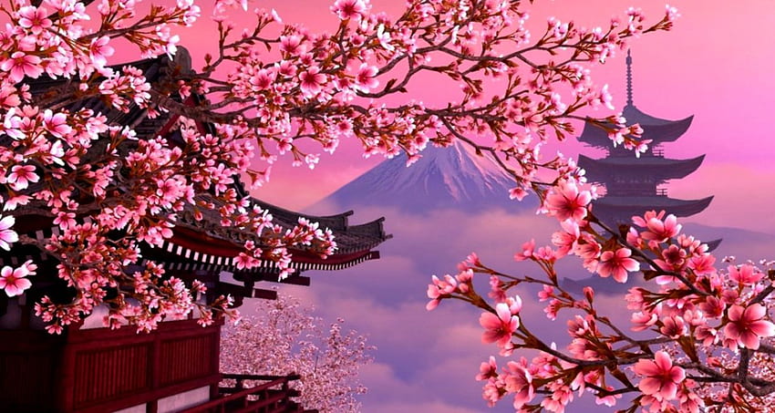 Cherry Blossoms, Cute Cherry Blossom HD тапет