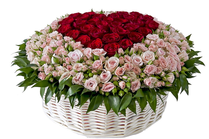 *** Basket of lovely roses ***, basket, roses, flower, nature, flowers HD wallpaper