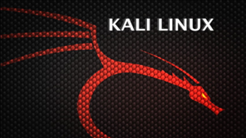 ] Książka kucharska Kali Linux warta 24 USD Tapeta HD