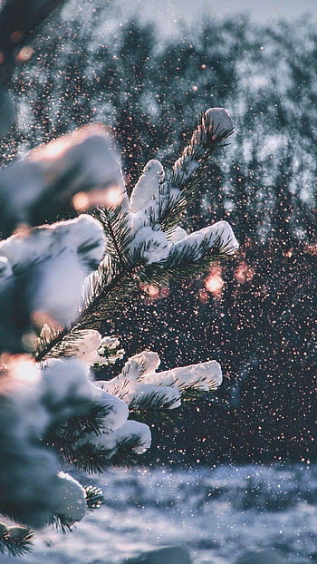 Chill Out with Winter Aesthetic Wallpapers for Your iPhone  Do It Before Me