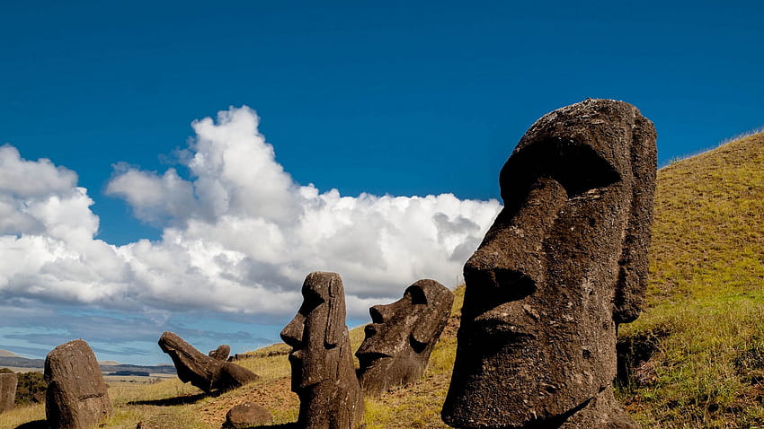 moai, statue, idol, easter island, stone full , tv, f, background HD wallpaper