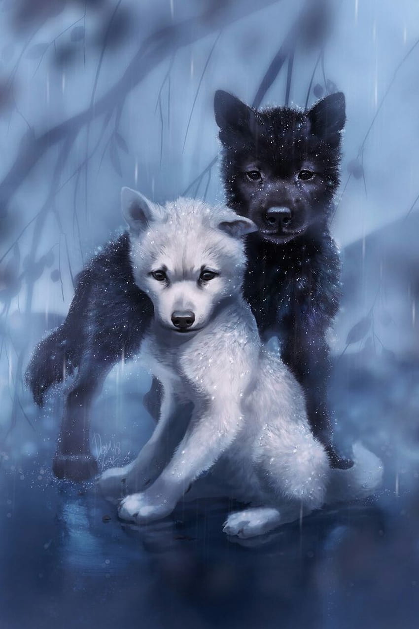 Me and my bff Daniel He's the white wolf and Im the black HD phone wallpaper