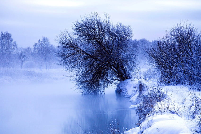 Mañana de invierno, invierno, azul, río, esplendor de invierno, mañana, pacífico, brumoso, belleza, niebla, niebla, nieve, neblinoso, árboles, agua, horario de invierno, camino, nevado, congelado, camino, paisaje, frío, hermoso, árbol , vista, naturaleza, cielo, encantador, temprano en la mañana, esplendor fondo de pantalla