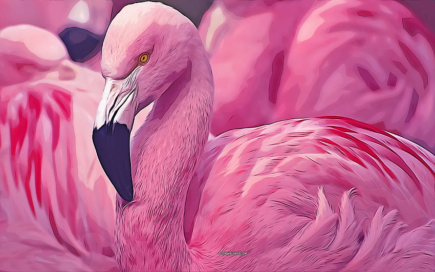 flamingo, pink bird, , vector art, flamingo drawing, creative art, flamingo art, vector drawing, abstract bird, birds drawings HD wallpaper