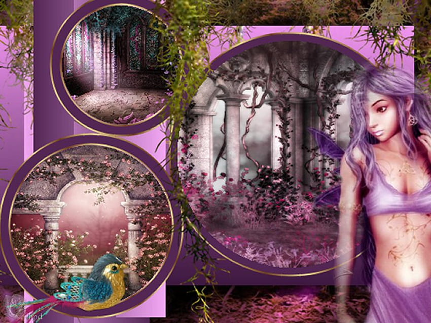 Fairy, fantasy, dream HD wallpaper | Pxfuel