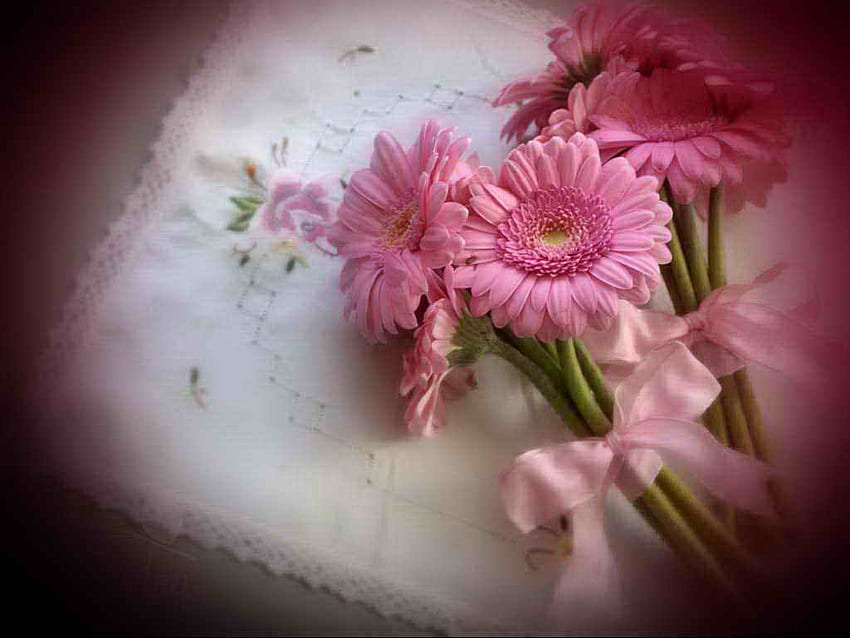 Flowers for the hostess, bouquet, ribbon, gift, nice, hostess, gerberas, pink, pretty, flowers, lovely HD wallpaper