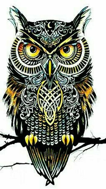 Owl Tattoo Stock Illustrations  7871 Owl Tattoo Stock Illustrations  Vectors  Clipart  Dreamstime