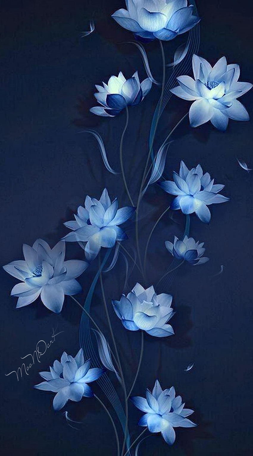 꽃 연꽃, 선, 꽃잎, 파랑, 흰색 HD 전화 배경 화면