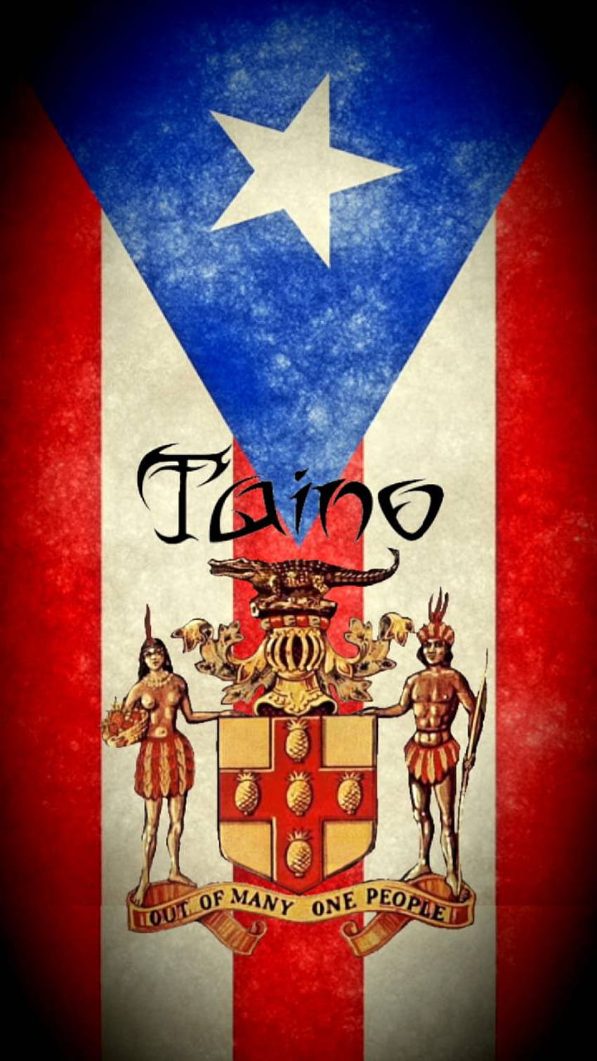 Puerto Rico Flag, Puerto Rican HD phone wallpaper | Pxfuel