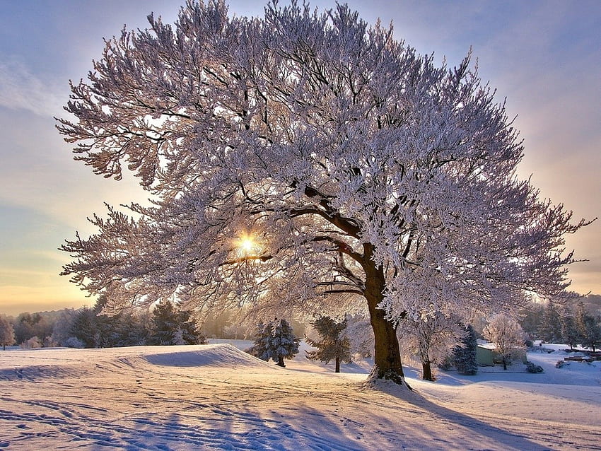 national geographic wallpapers winter