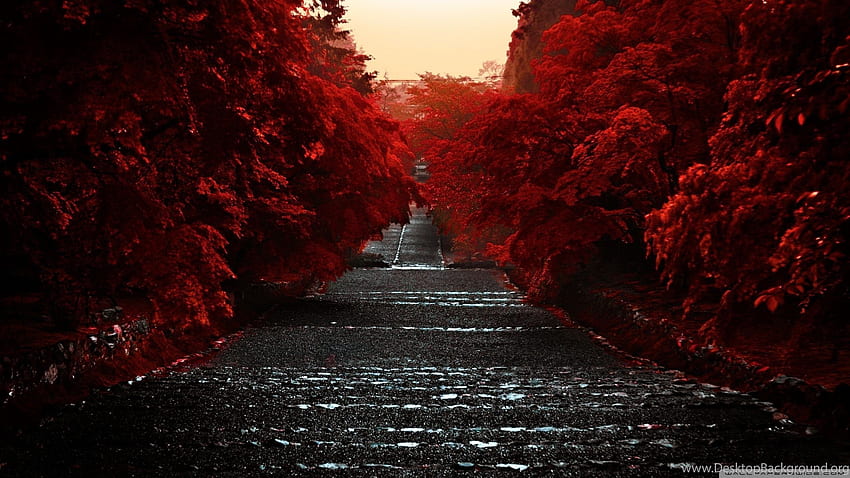 Autumn Honshu Island Japan Red Trees Background HD wallpaper
