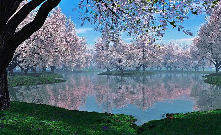 indah, danau, cantik, indah, danau, pohon Wallpaper HD