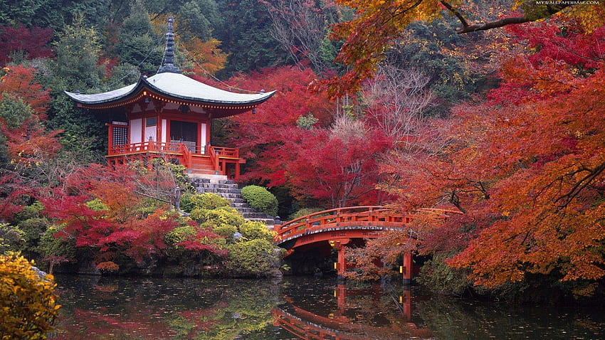 Japanese Tea Garden with High Resolution HD wallpaper