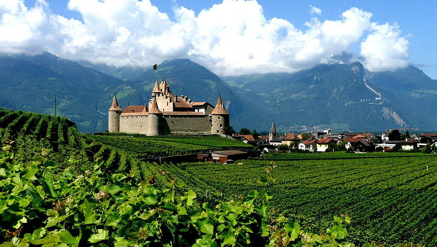 castle surrounded by vineyards in switzerland, clouds, castle, mountains, village, vineyards HD wallpaper