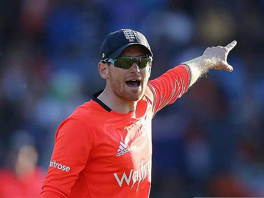 Eoin Morgan, T20 Dünya Kupası öncesinde güzel bir ivme kazanıyoruz diyor. Kriket Haberleri - Times of India HD duvar kağıdı