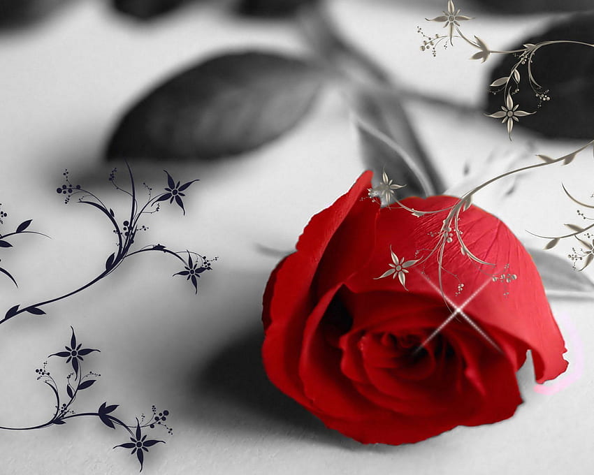 Rose Flower Great Love Art [] for your , Mobile & Tablet. Explore Red Rose Laptop . Red Rose Background, Red Rose Background, Rose Red, Red Roses Laptop HD wallpaper