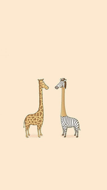 Giraffe for, giraffes HD wallpaper | Pxfuel
