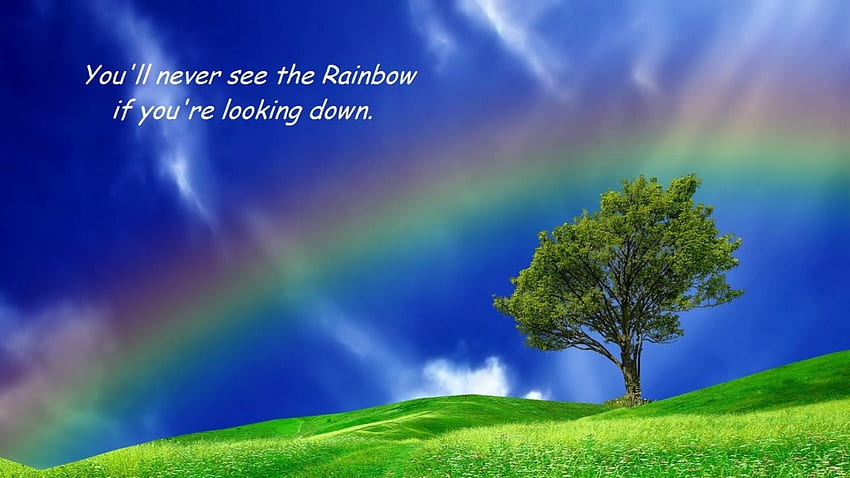 Kopf hoch, Himmel, Regenbogen, Feld, Baum HD-Hintergrundbild