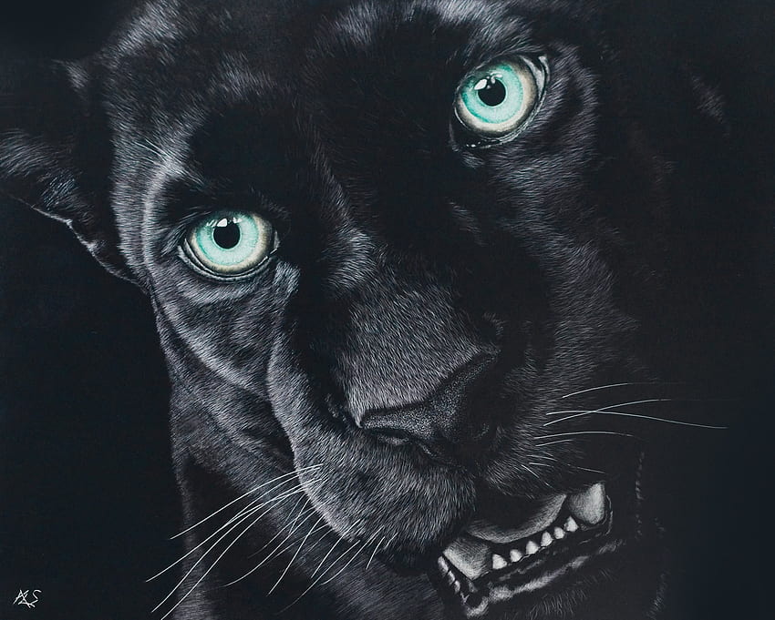 Jaguar, Black Jaguar HD wallpaper | Pxfuel
