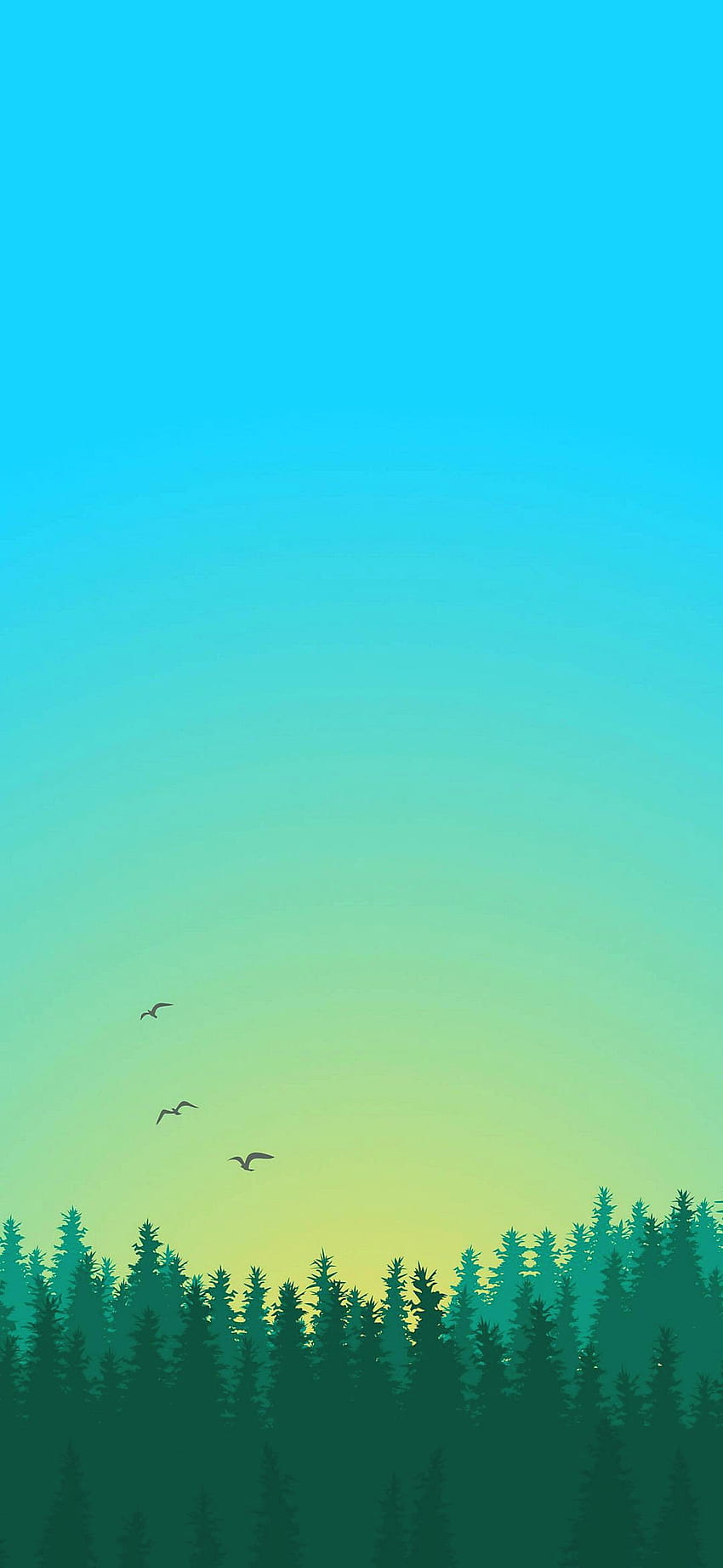 Minimalist Nature Landscape Birds Android ⋆ Traxzee, 1080x2340 ธรรมชาติ วอลล์เปเปอร์โทรศัพท์ HD
