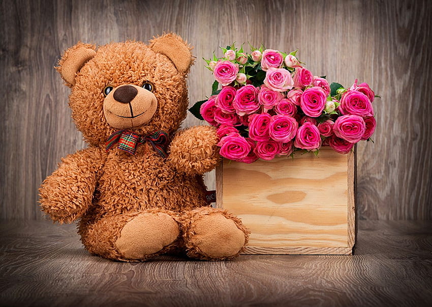 rose Pink color Flowers Teddy bear Toys, Colorful Bear HD wallpaper