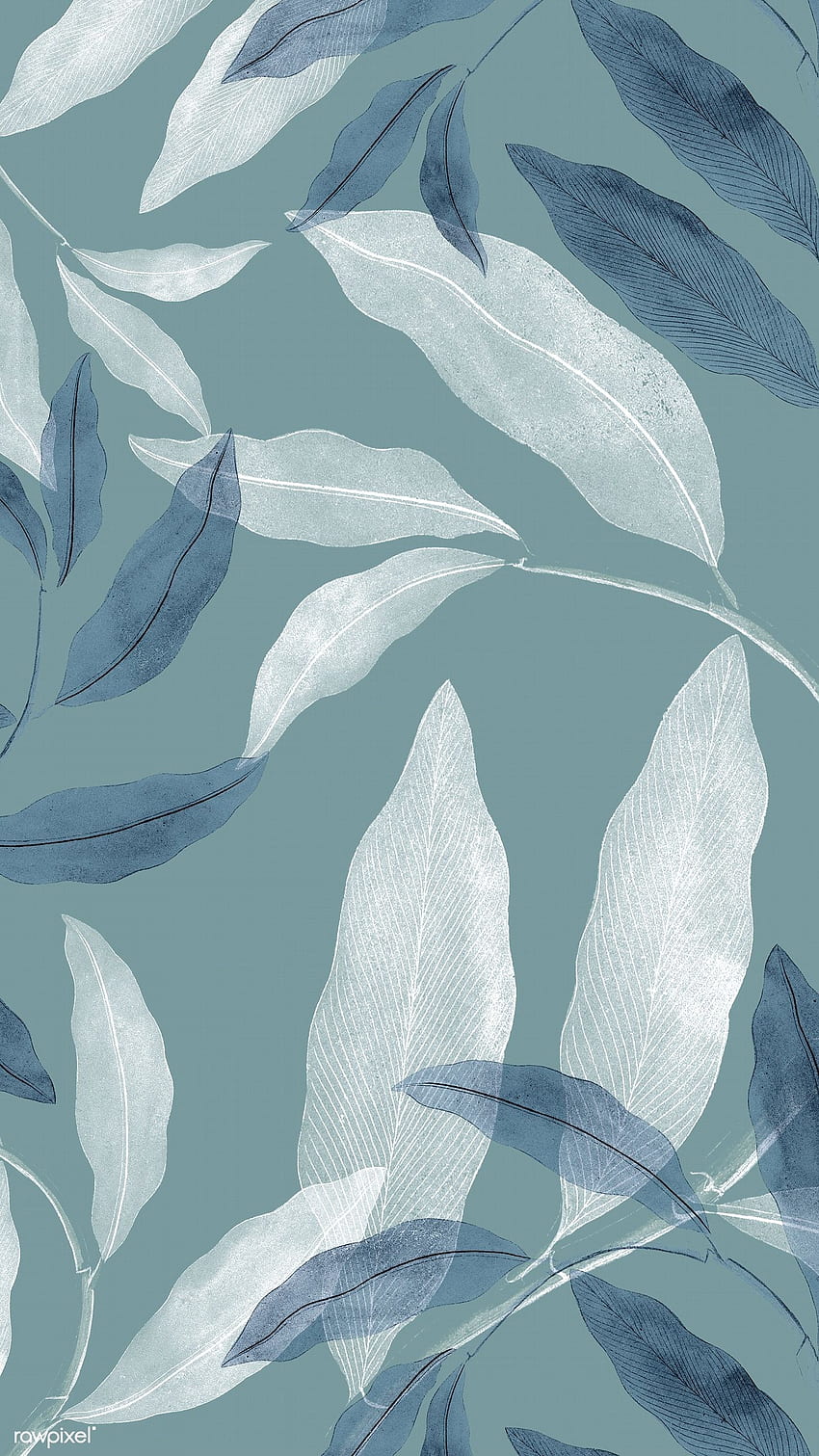 파란색과 흰색 잎이 많은 배경 모바일의 프리미엄 . 배경 전화, 파란색과 흰색, 추상 HD 전화 배경 화면
