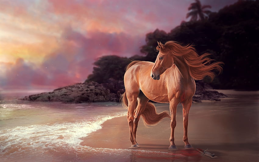 馬、馬、絵画、動物、ビーチ、美しい、自然、素晴らしさ、夕日 高画質の壁紙