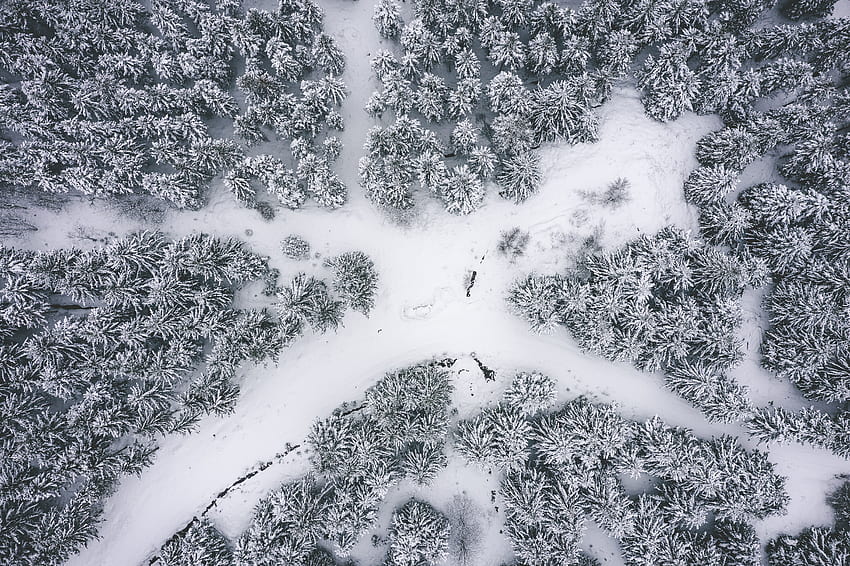 Winter, snowfall, nature, aerial view, Canada HD wallpaper