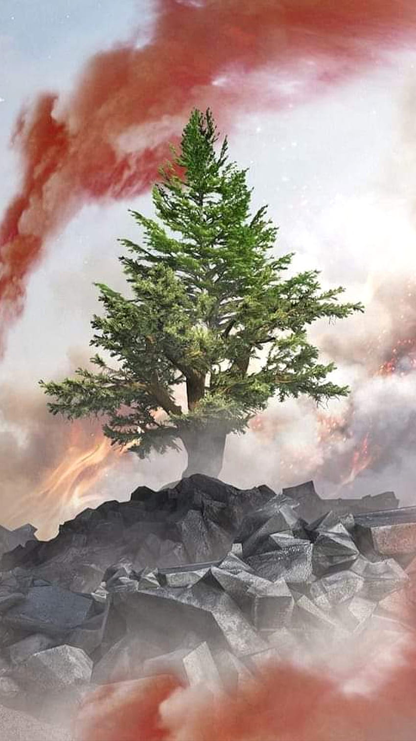 Libanonzeder, Wolke, Zedernbaum, Symbol, roter Rauch HD-Handy-Hintergrundbild